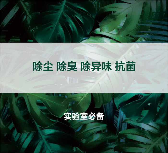 告別惡臭，守護呼吸健康，全面凈化動物實驗室空氣環境